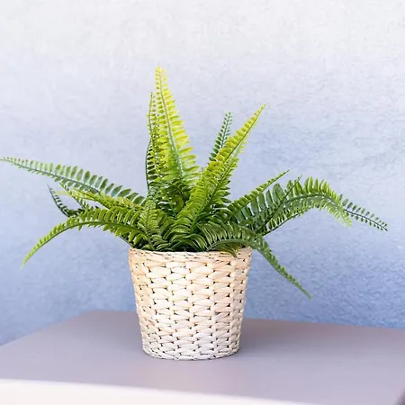 Casa Da Cerca - Picadeiro 1 *